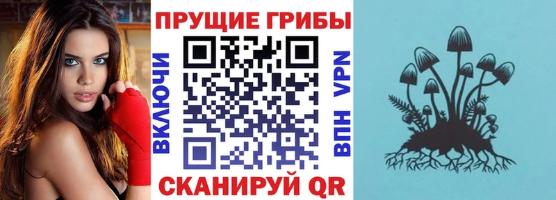 Галлюциногенные грибы Cubensis  Купить  Волгодонск 